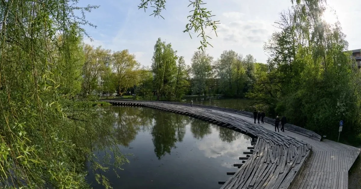 Die Kawamata-Brücke in Uster: ein geschwungener Holzsteg über einem Weiher, gesäumt von Bäumen