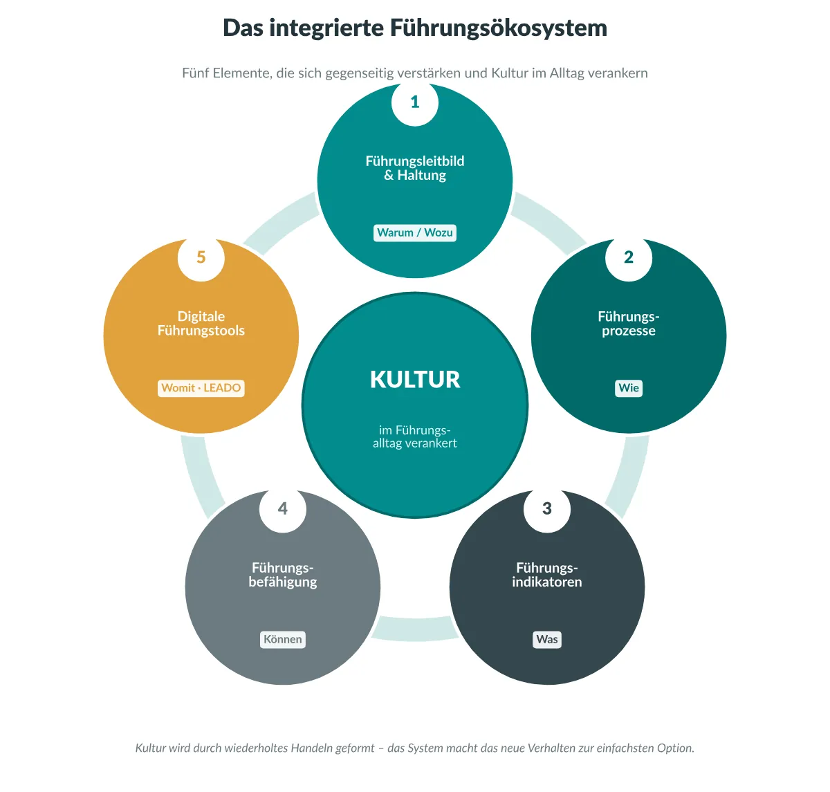 Das integrierte Führungsökosystem: fünf Elemente, die Kultur im Alltag verankern