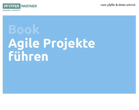 Cover E-Book «Agile Projekte führen»