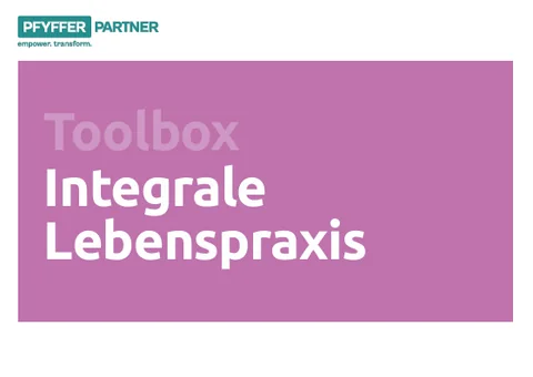 Cover Toolbox «Integrale Lebenspraxis»