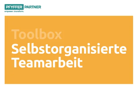 Cover Toolbox «Selbstorganisierte Teamarbeit»