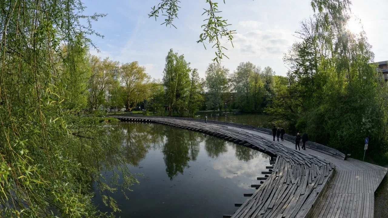 Die Kawamata-Brücke in Uster: ein geschwungener Holzsteg über einem Weiher, gesäumt von Bäumen